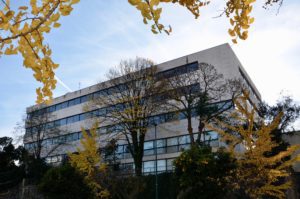 Oporto Medical Center